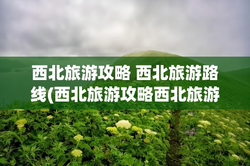 西北旅游攻略 西北旅游路线(西北旅游攻略西北旅游路线)