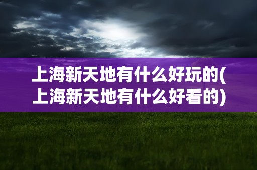 上海新天地有什么好玩的(上海新天地有什么好看的)