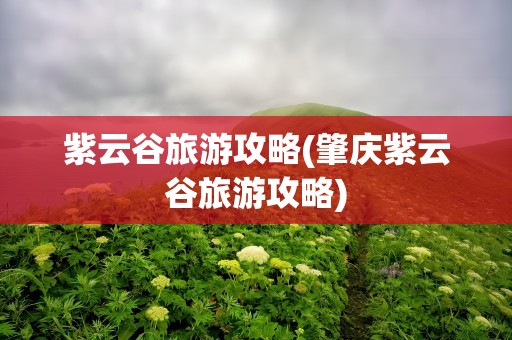 紫云谷旅游攻略(肇庆紫云谷旅游攻略)