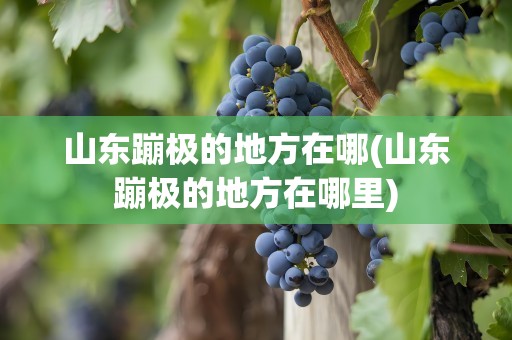 山东蹦极的地方在哪(山东蹦极的地方在哪里)