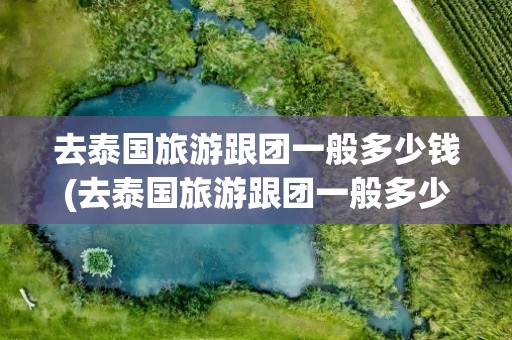 去泰国旅游跟团一般多少钱(去泰国旅游跟团一般多少钱啊)