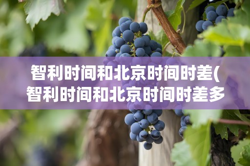 智利时间和北京时间时差(智利时间和北京时间时差多少)