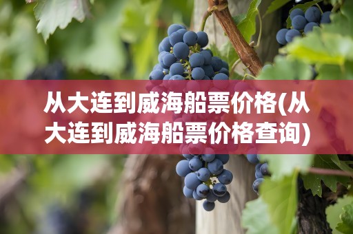 从大连到威海船票价格(从大连到威海船票价格查询)