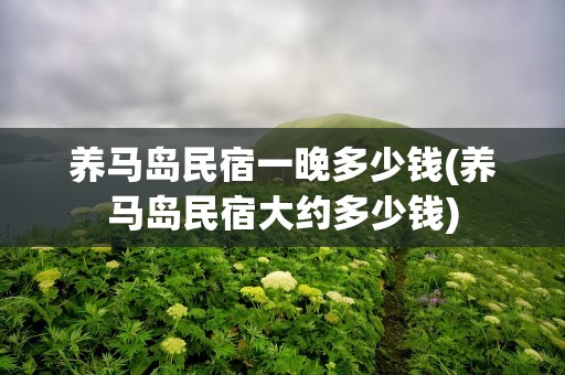 养马岛民宿一晚多少钱(养马岛民宿大约多少钱)