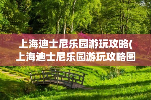 上海迪士尼乐园游玩攻略(上海迪士尼乐园游玩攻略图片)