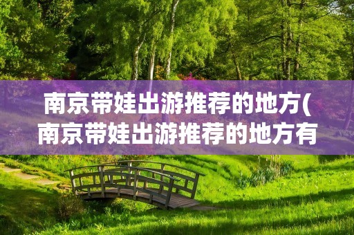 南京带娃出游推荐的地方(南京带娃出游推荐的地方有哪些)