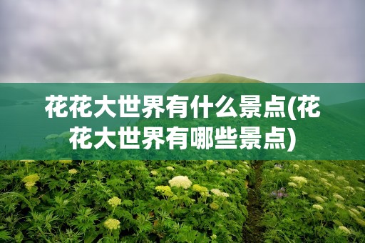 花花大世界有什么景点(花花大世界有哪些景点)