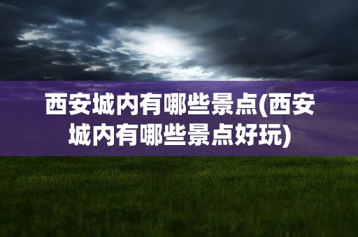 西安城内有哪些景点(西安城内有哪些景点好玩)