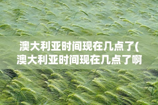 澳大利亚时间现在几点了(澳大利亚时间现在几点了啊)