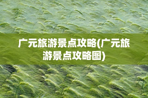 广元旅游景点攻略(广元旅游景点攻略图)