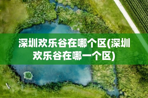 深圳欢乐谷在哪个区(深圳欢乐谷在哪一个区)