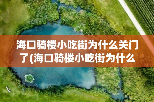 海口骑楼小吃街为什么关门了(海口骑楼小吃街为什么关门了呢)