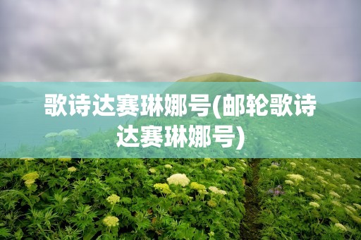 歌诗达赛琳娜号(邮轮歌诗达赛琳娜号)