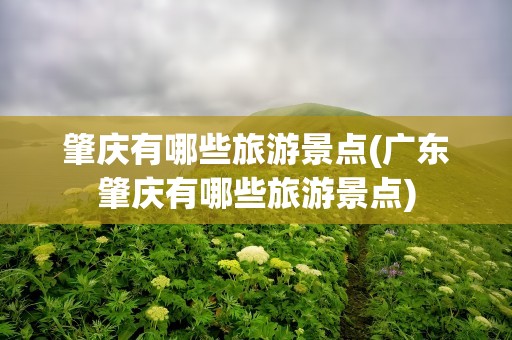 肇庆有哪些旅游景点(广东肇庆有哪些旅游景点)