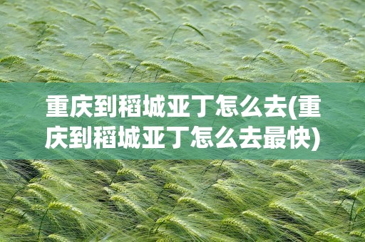 重庆到稻城亚丁怎么去(重庆到稻城亚丁怎么去最快)