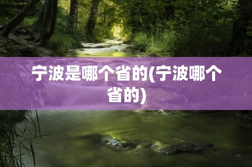 宁波是哪个省的(宁波哪个省的)