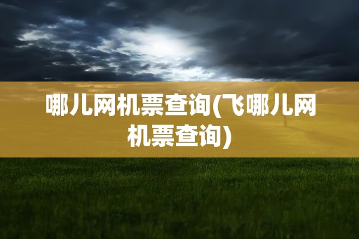 哪儿网机票查询(飞哪儿网机票查询)