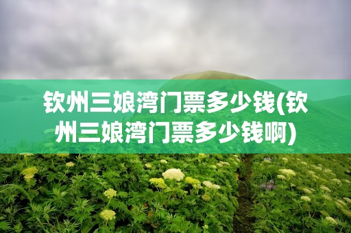 钦州三娘湾门票多少钱(钦州三娘湾门票多少钱啊)