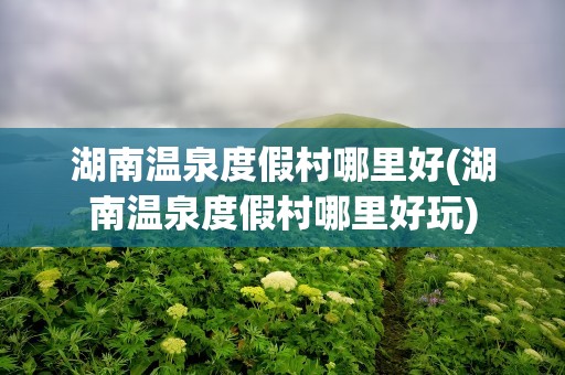 湖南温泉度假村哪里好(湖南温泉度假村哪里好玩)