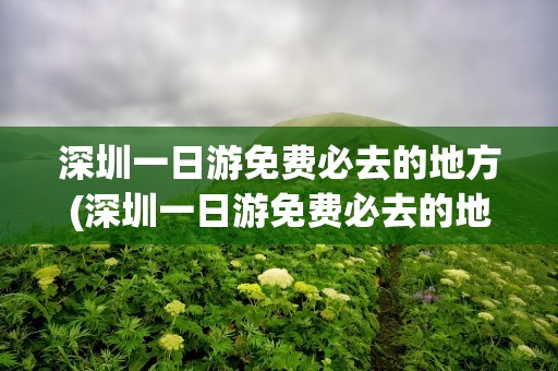 深圳一日游免费必去的地方(深圳一日游免费必去的地方推荐)