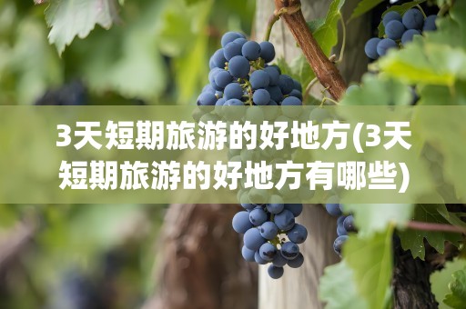 3天短期旅游的好地方(3天短期旅游的好地方有哪些)