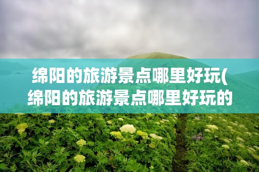 绵阳的旅游景点哪里好玩(绵阳的旅游景点哪里好玩的)