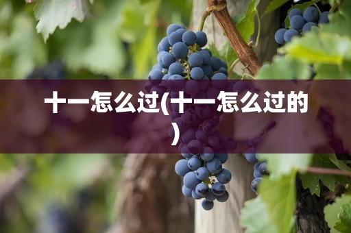 十一怎么过(十一怎么过的)