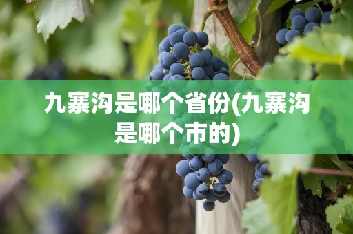 九寨沟是哪个省份(九寨沟是哪个市的)