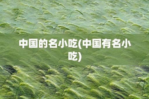 中国的名小吃(中国有名小吃)