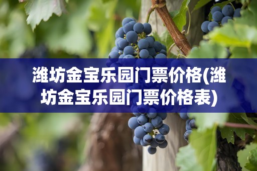 潍坊金宝乐园门票价格(潍坊金宝乐园门票价格表)