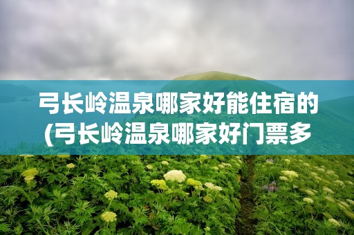 弓长岭温泉哪家好能住宿的(弓长岭温泉哪家好门票多少钱)