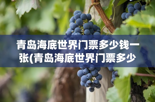 青岛海底世界门票多少钱一张(青岛海底世界门票多少钱一张位)