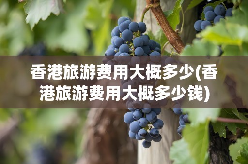 香港旅游费用大概多少(香港旅游费用大概多少钱)