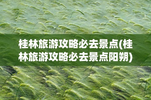 桂林旅游攻略必去景点(桂林旅游攻略必去景点阳朔)