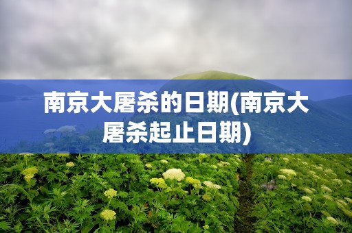 南京大屠杀的日期(南京大屠杀起止日期)