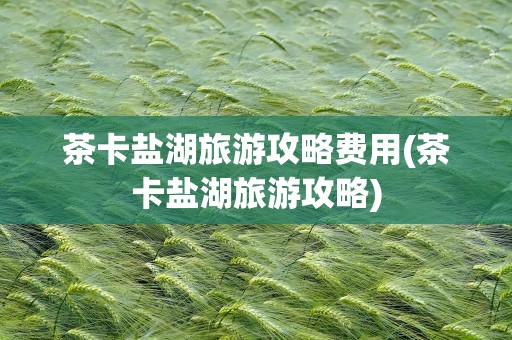 茶卡盐湖旅游攻略费用(茶卡盐湖旅游攻略)