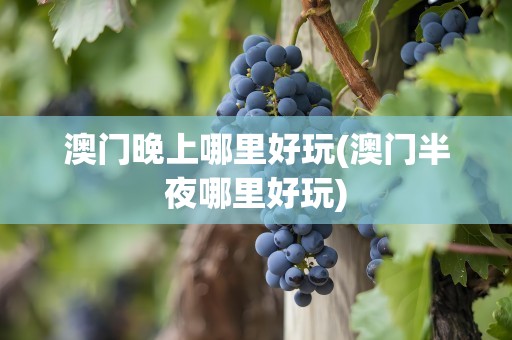 澳门晚上哪里好玩(澳门半夜哪里好玩)