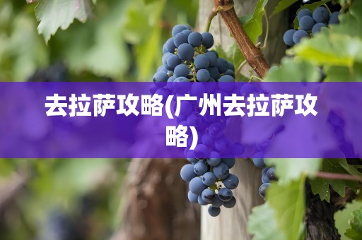 去拉萨攻略(广州去拉萨攻略)