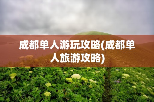 成都单人游玩攻略(成都单人旅游攻略)