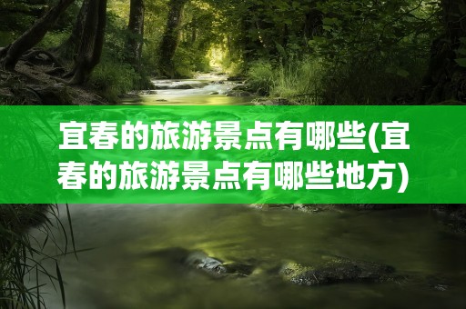 宜春的旅游景点有哪些(宜春的旅游景点有哪些地方)