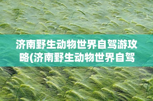 济南野生动物世界自驾游攻略(济南野生动物世界自驾游攻略图)