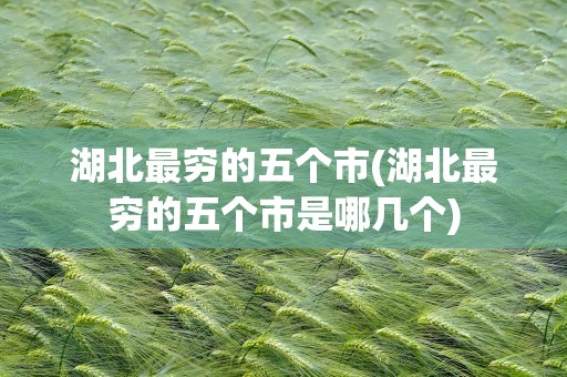 湖北最穷的五个市(湖北最穷的五个市是哪几个)