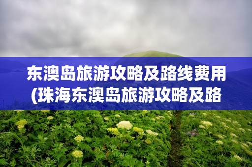 东澳岛旅游攻略及路线费用(珠海东澳岛旅游攻略及路线费用)