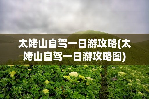 太姥山自驾一日游攻略(太姥山自驾一日游攻略图)