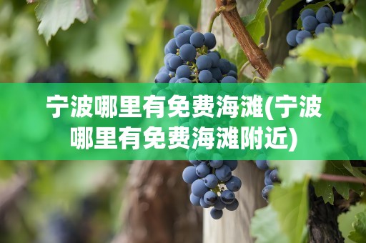 宁波哪里有免费海滩(宁波哪里有免费海滩附近)