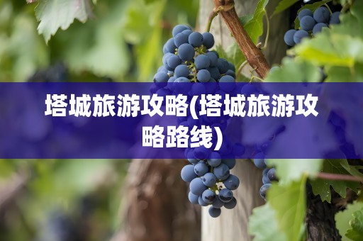 塔城旅游攻略(塔城旅游攻略路线)