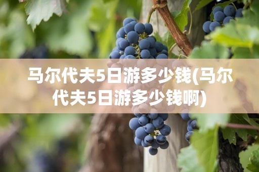 马尔代夫5日游多少钱(马尔代夫5日游多少钱啊)