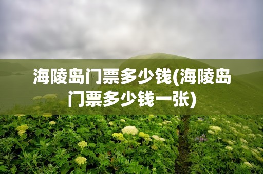 海陵岛门票多少钱(海陵岛门票多少钱一张)