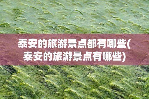泰安的旅游景点都有哪些(泰安的旅游景点有哪些)
