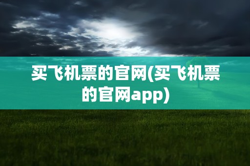 买飞机票的官网(买飞机票的官网app)